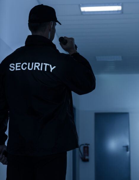 SECURITY SECTOR