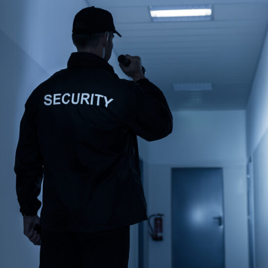 SECURITY SECTOR